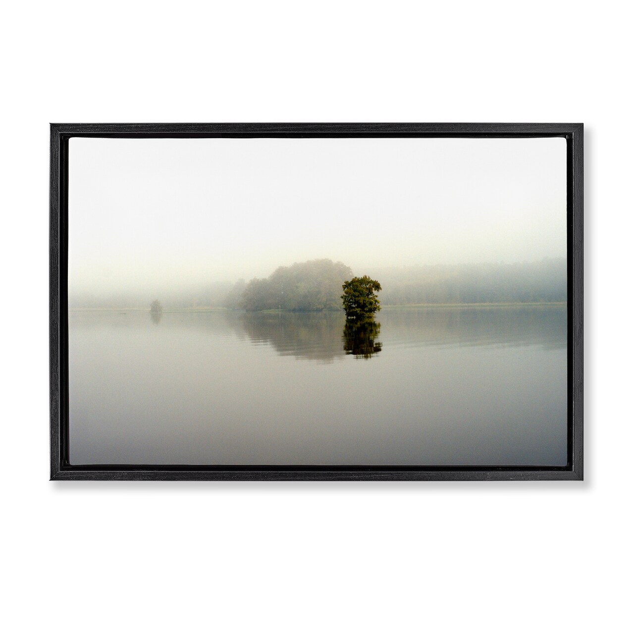 Stupell Industries Misty Lake Reflection Floating Frame, design by Gail Peck